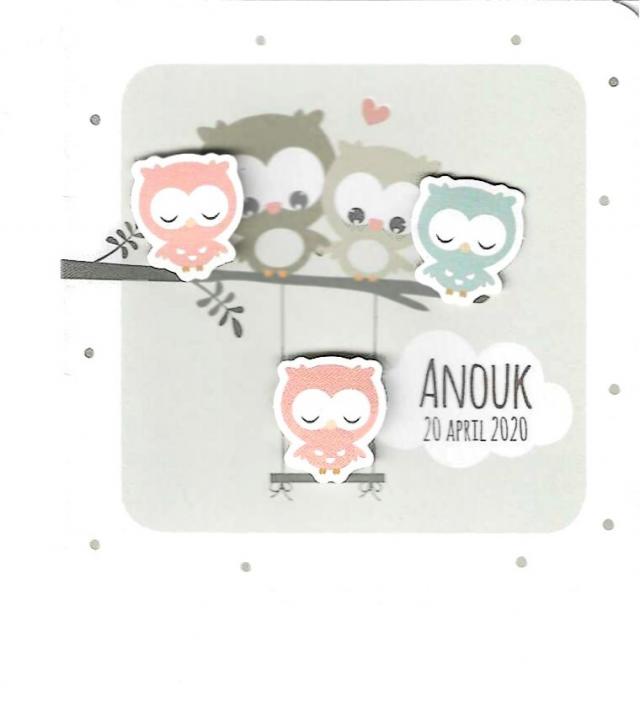 589092 roze uil met…