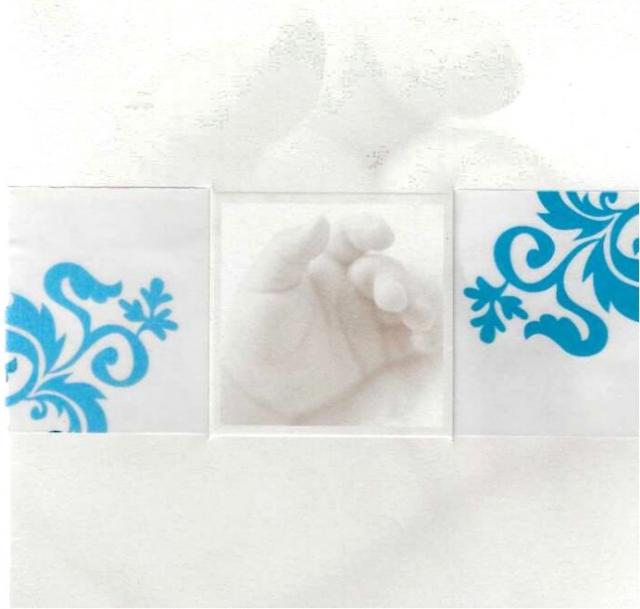 50927 blauw.jpg